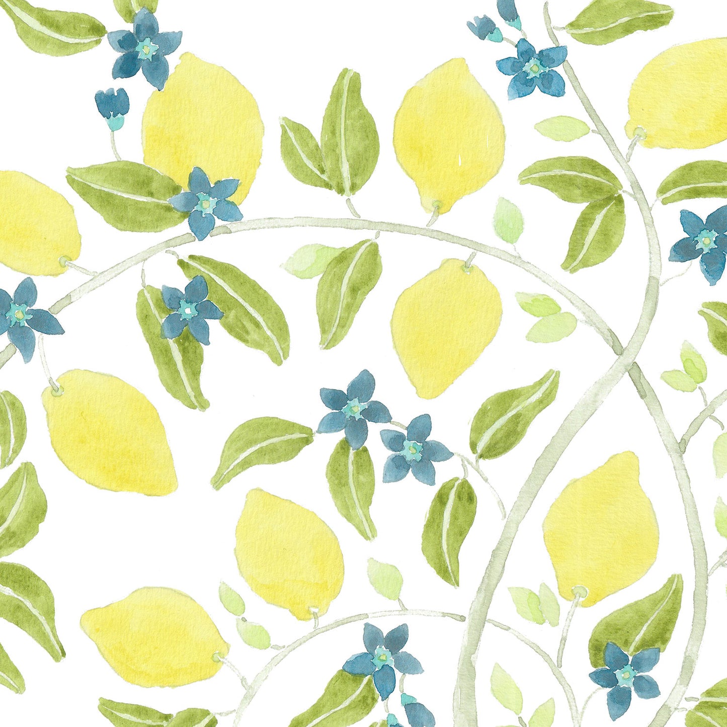 LEMON TREE IN CAPRI Wallpaper
