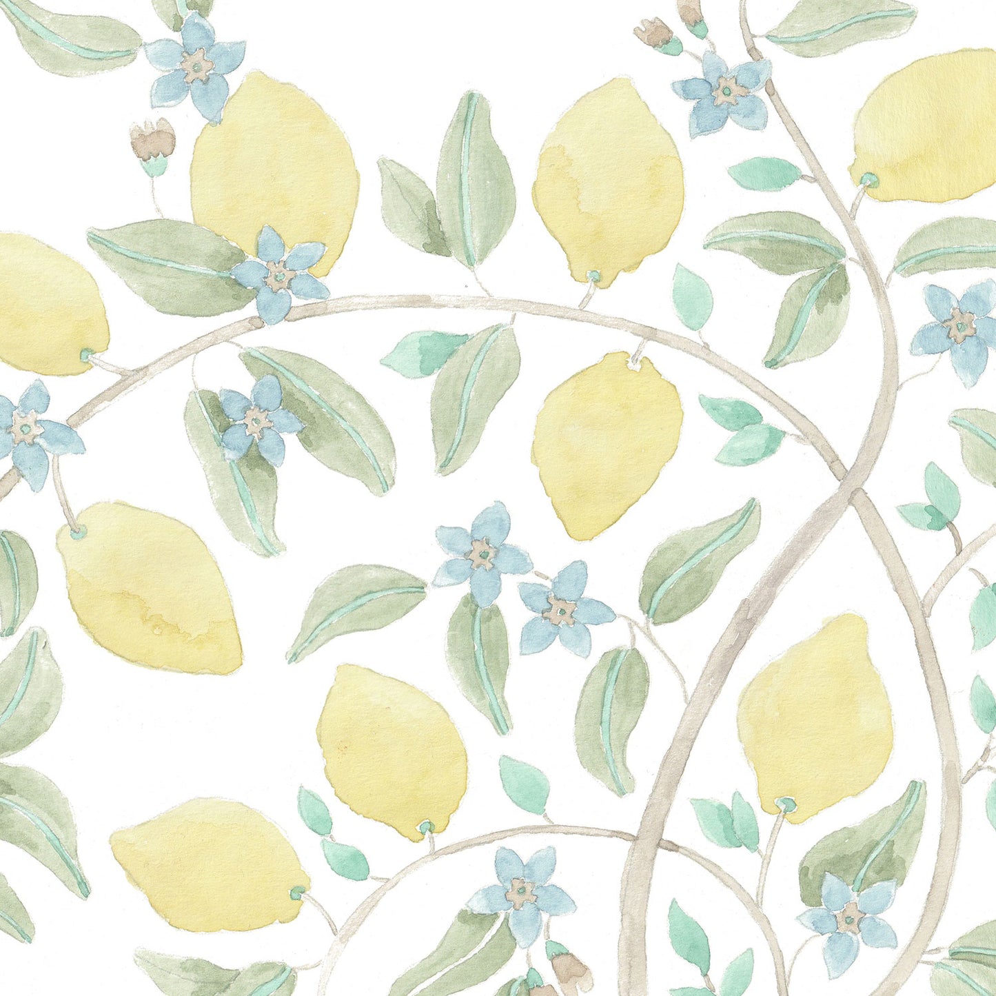 LEMON TREE IN CAPRI Wallpaper