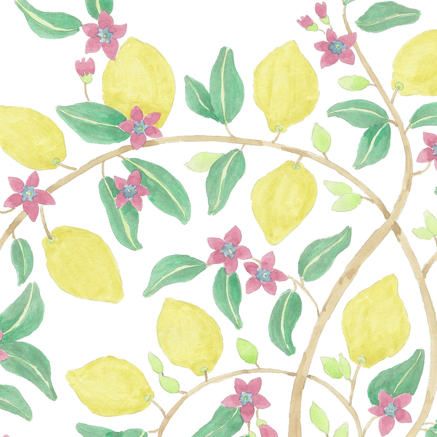LEMON TREE IN CAPRI Wallpaper