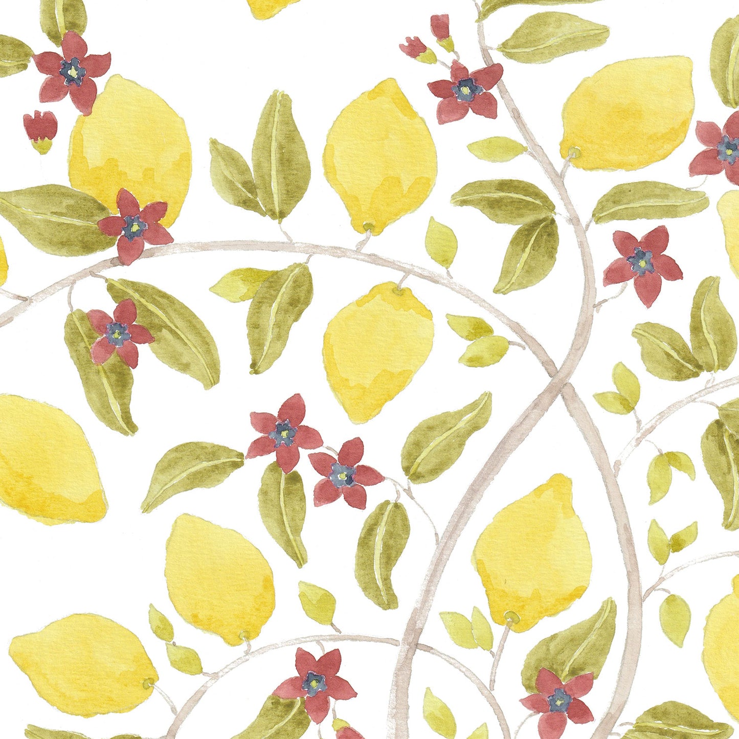 LEMON TREE IN CAPRI Wallpaper