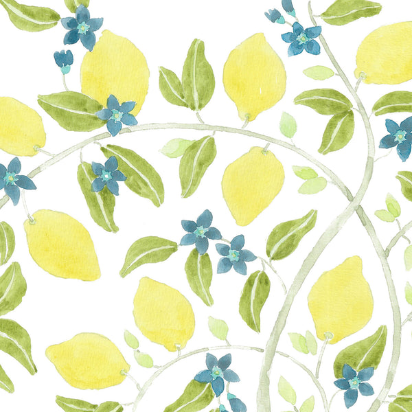 LEMON TREE IN CAPRI Wallpaper – FERRAN